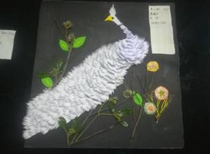 IMG_20180409_201248